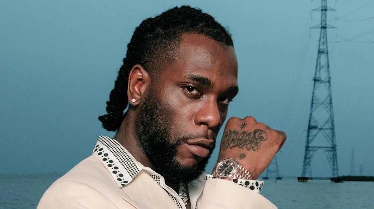 Burna Boy image 10