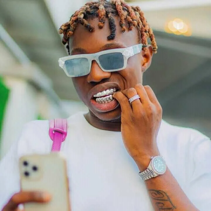 Zlatan Ibile image 9