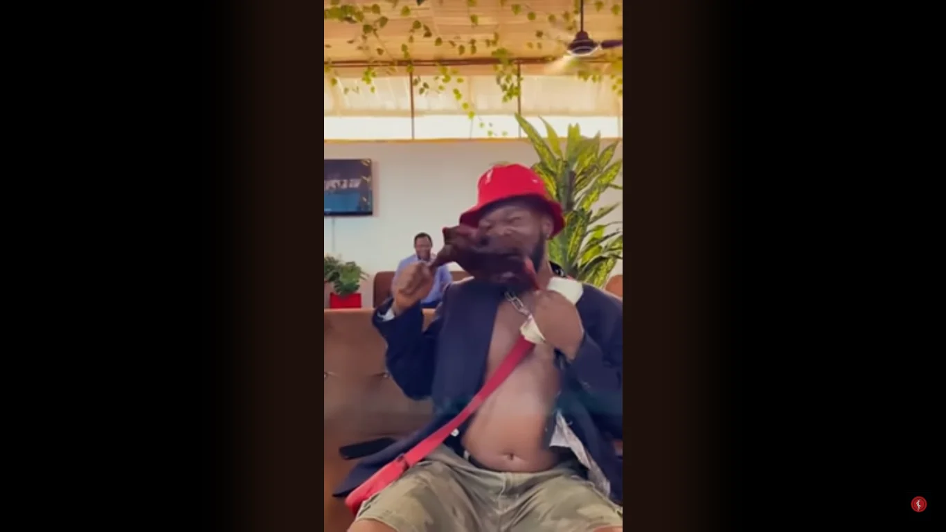 The Money Pain Me O! | Brodashaggi image 0