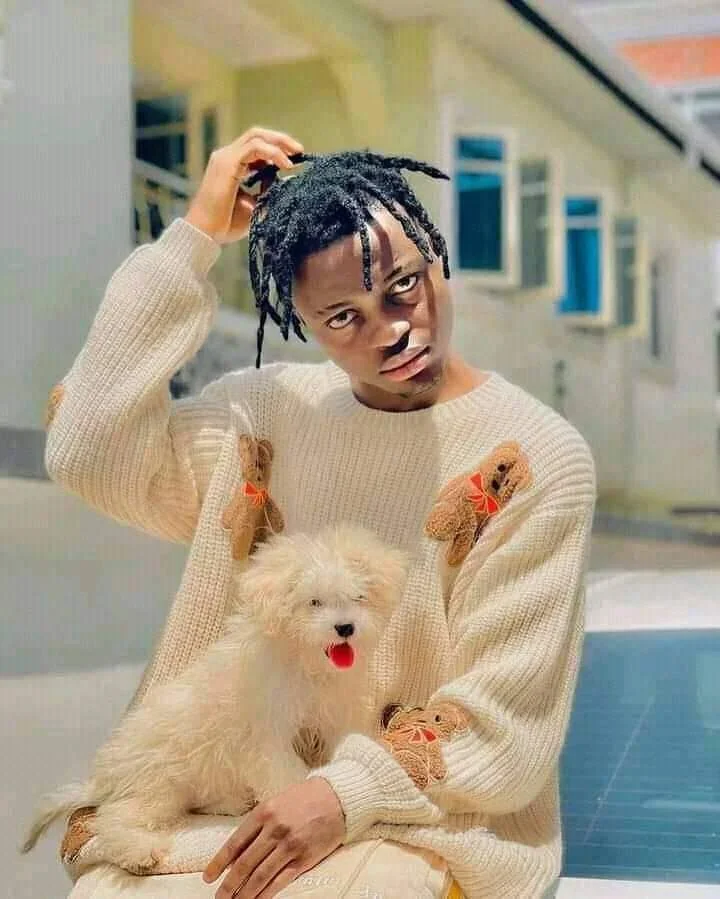 Balloranking image 7