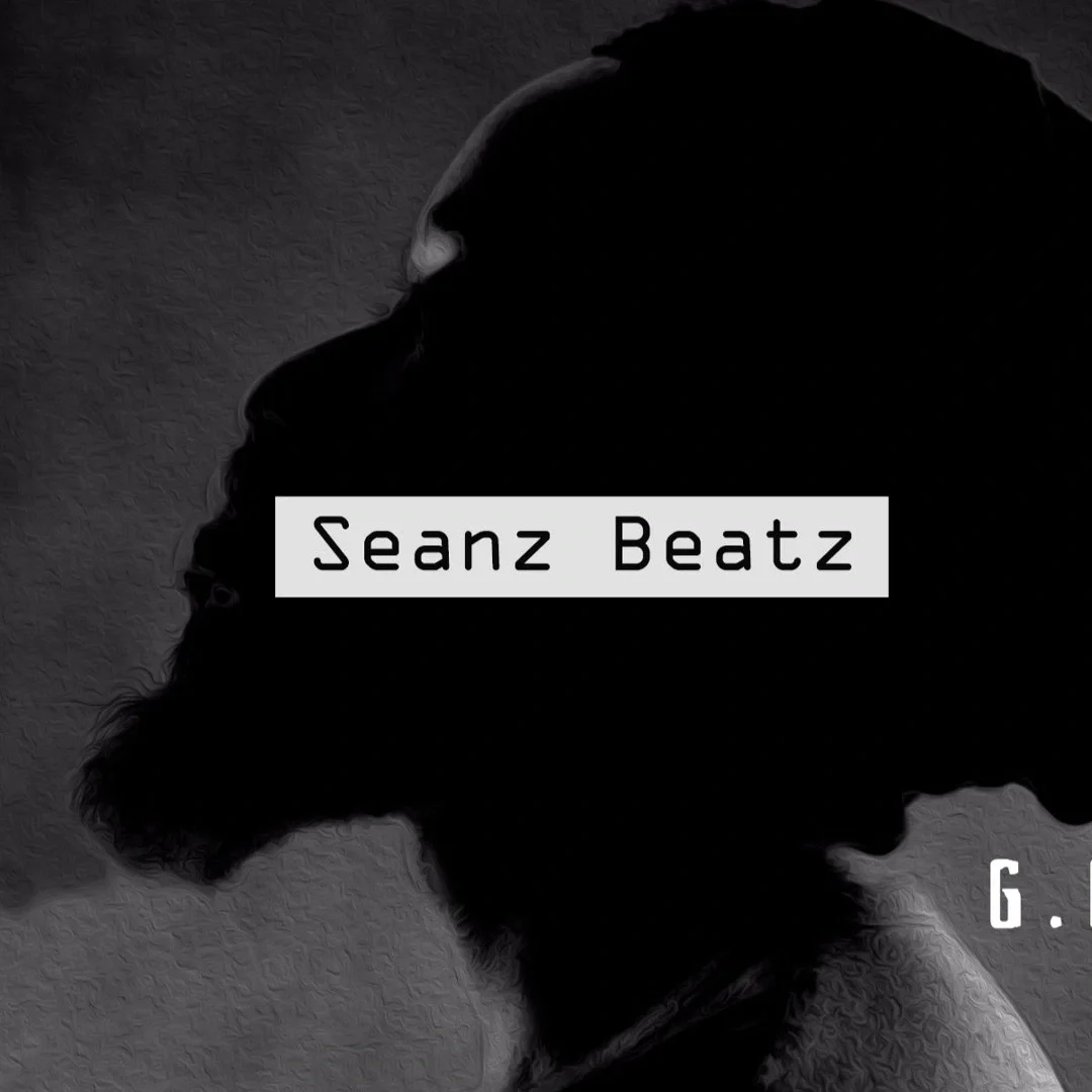 Seanz Beatz image 0
