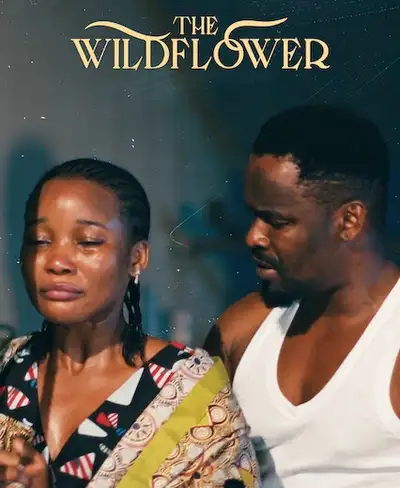 can.newonnetflix.info