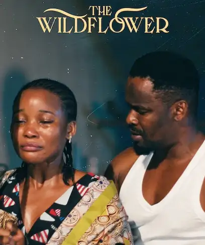 photo by can.newonnetflix.info