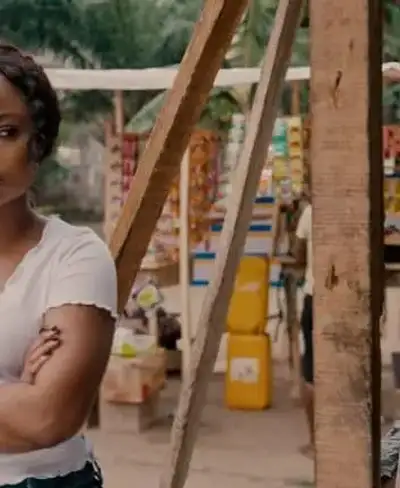 thenollywoodreporter.com