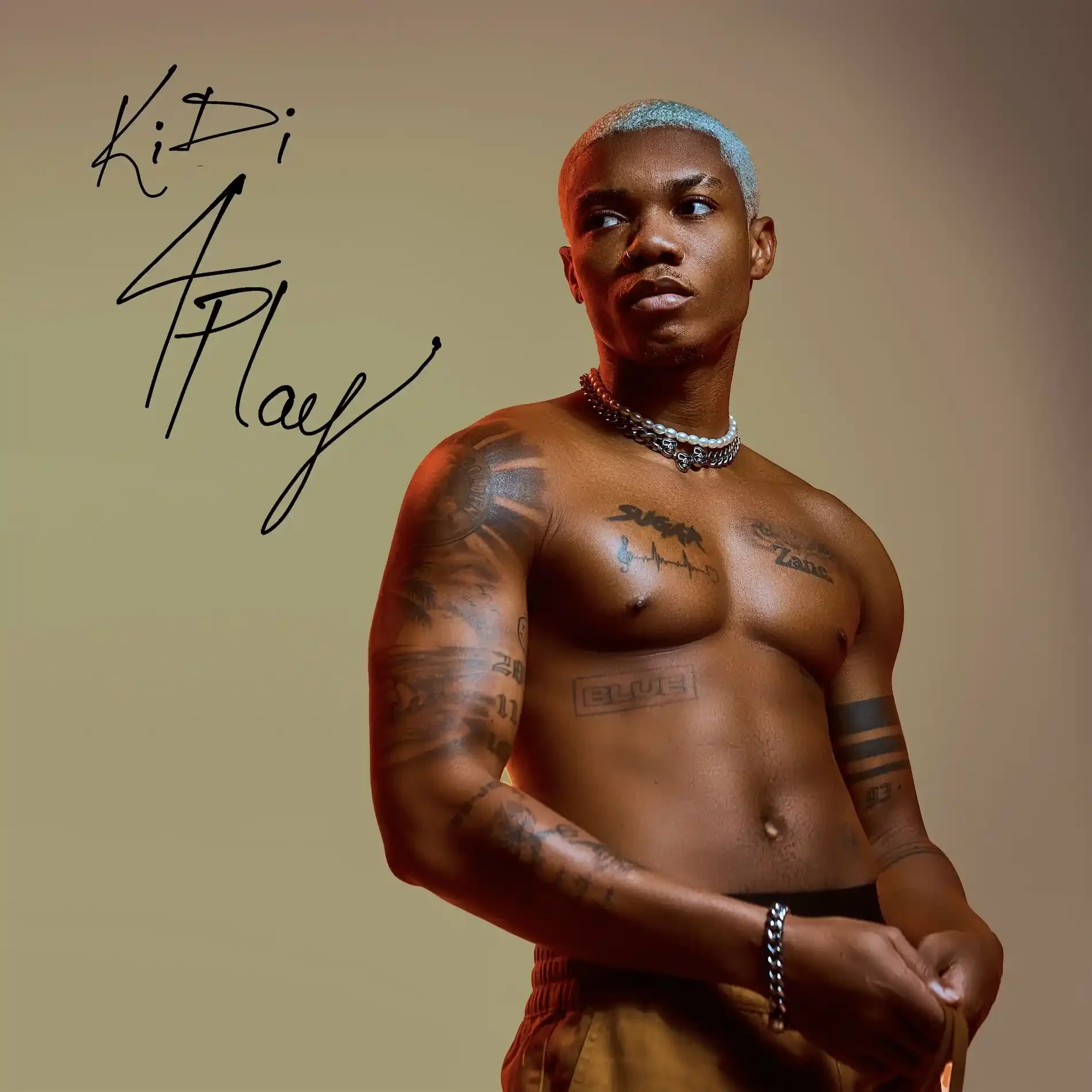 KiDi image 4