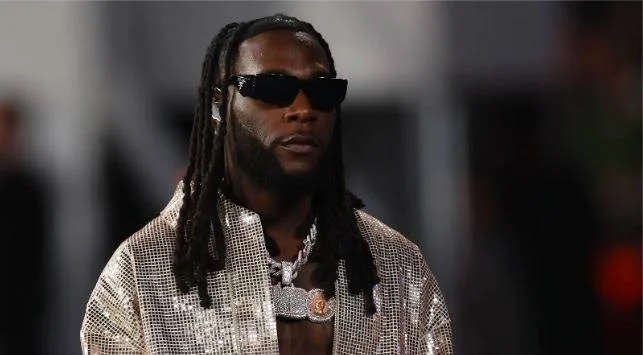Burna Boy image 20