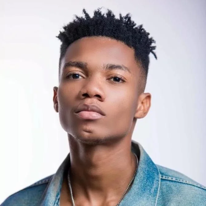 KiDi image 2