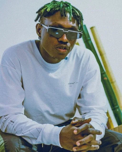 Zlatan Ibile image 6