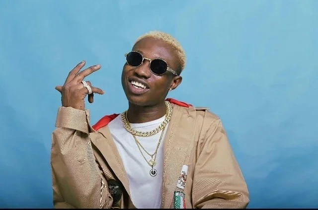 Zlatan Ibile image 3