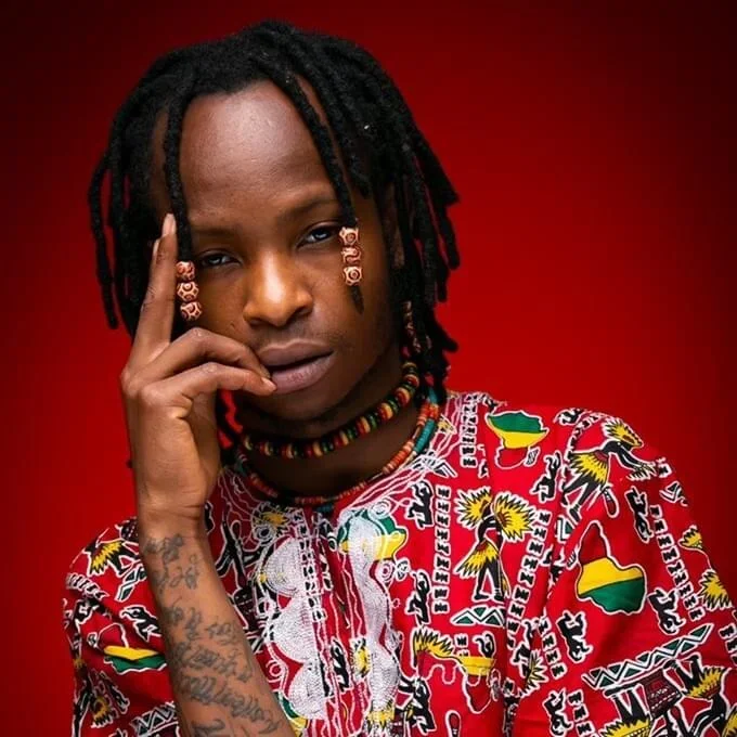 Gemini Major image 1