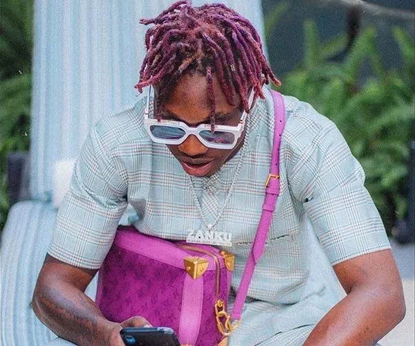 Zlatan Ibile image 8