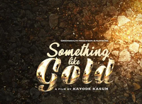 Something Like Gold image 3