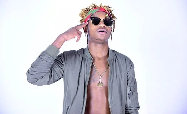 Gemini Major image 0