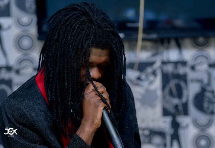 chizmo sting image 0