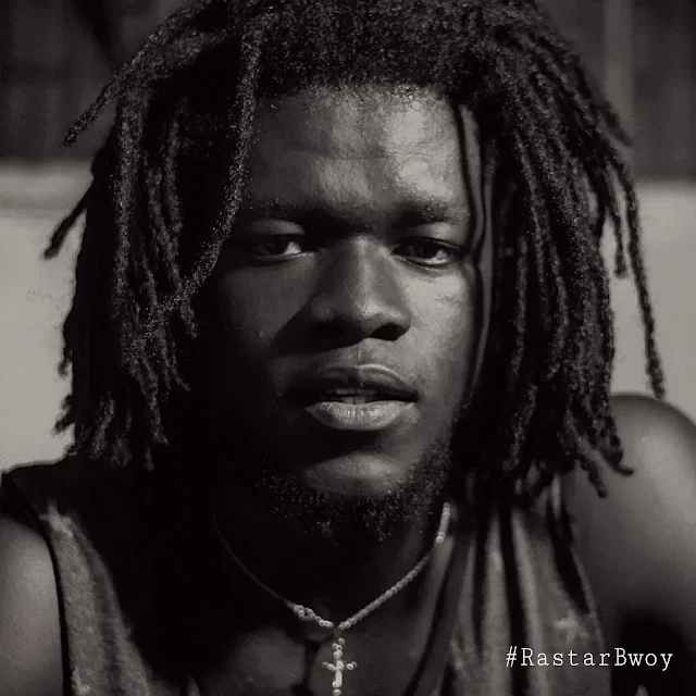 chizmo sting image 1