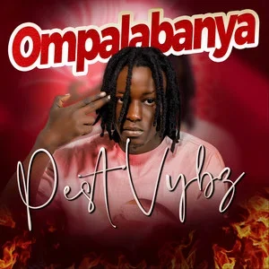 Pest Vybz image 2