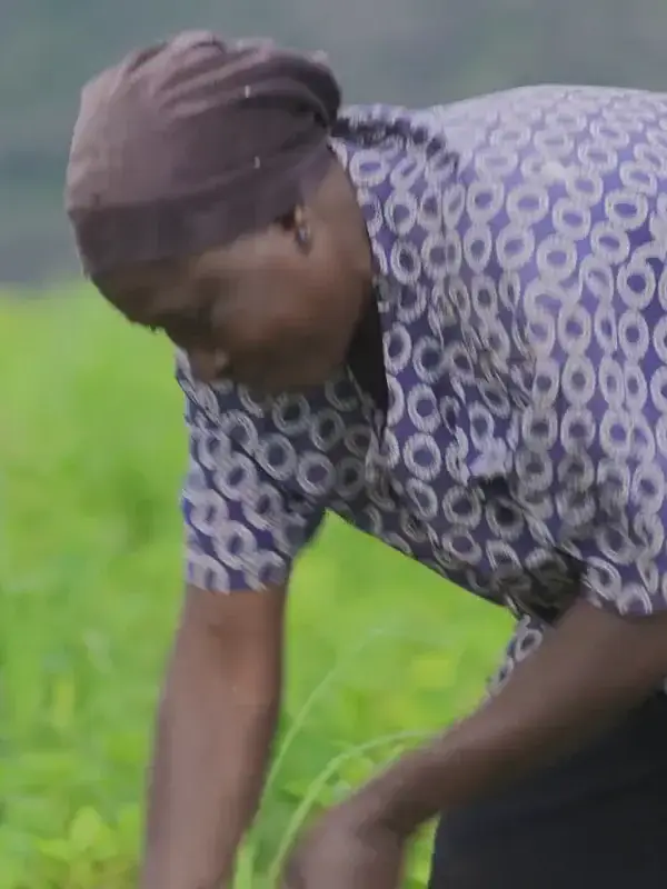 photo by primevideo.com