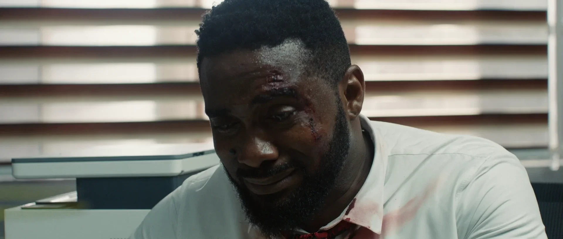 3 Working Days image 9