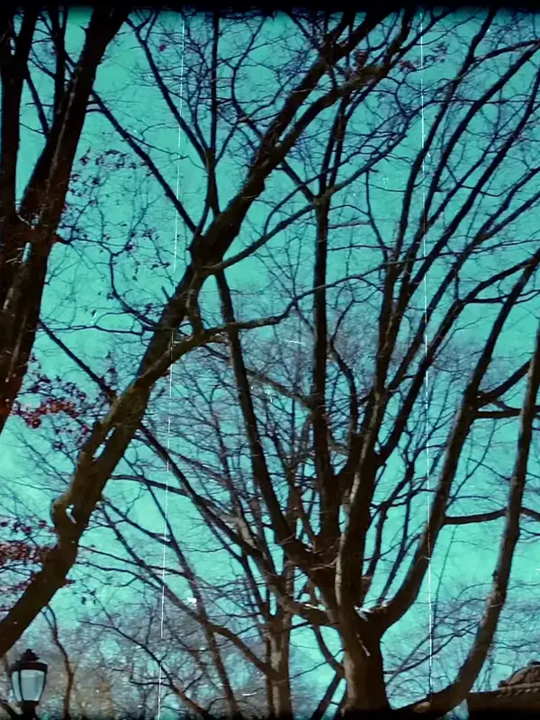 photo by youtube.com