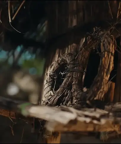 photo by youtube.com