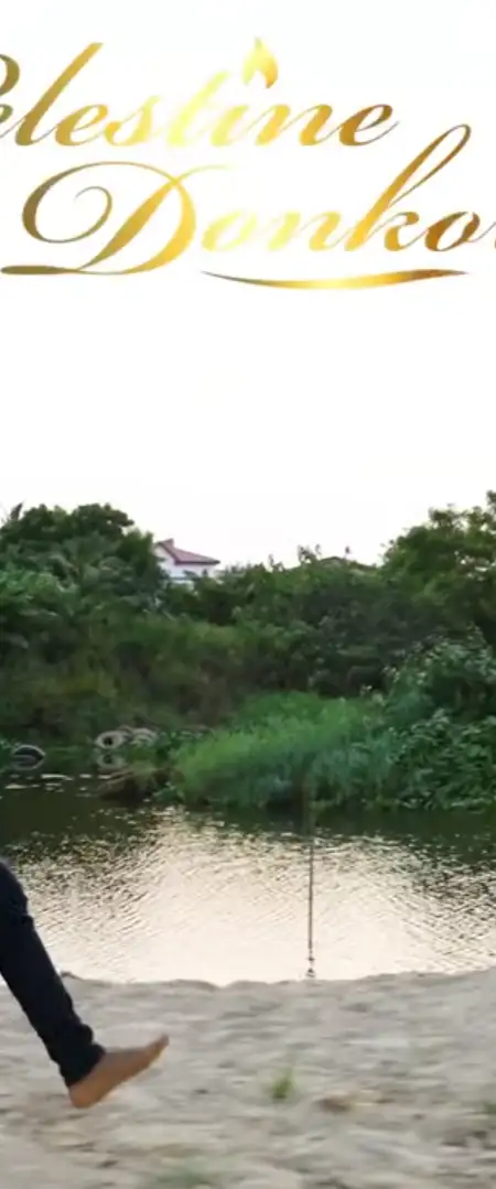 Celestine Donkor ushers in 2025 with uplifting song, ‘Something New’