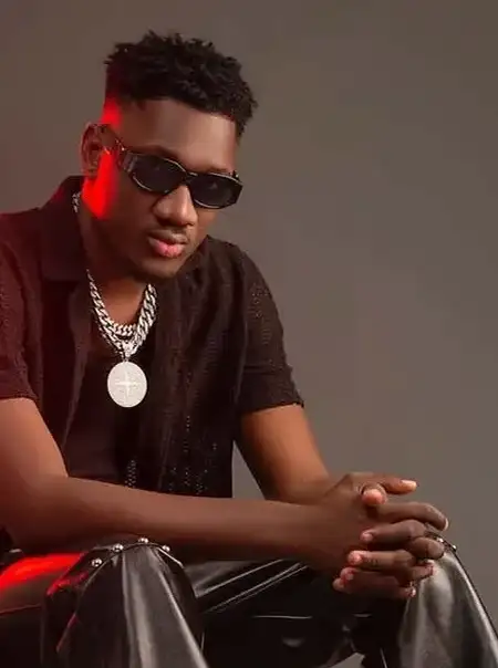 Hussain Dada speaks out after video showing him kicking fan