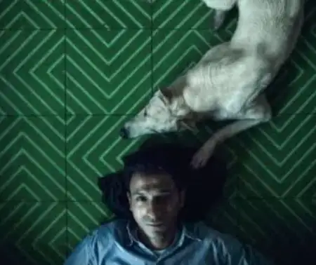 Markos Erian Wins Best Trailer Award for Seeking Haven for Mr. Rambo at Global Entertainment Awards