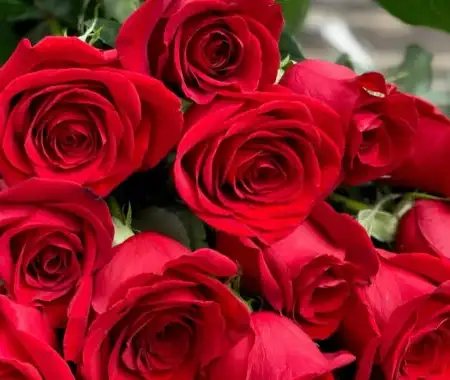 Valentine’s Day fever boosts sales