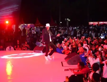 Police introduces new restrictions on bouncers moving with Ugandan musicians