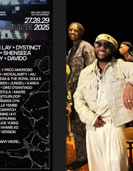 Davido, Omah Lay feature at Couleur Café Festival