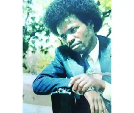 Songs that oiled Zim’s independence