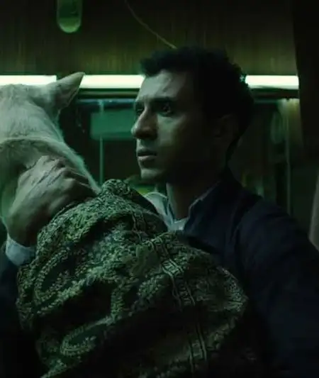 Seeking Haven for Mr. Rambo: Egyptian film on the move from Arab countries to USA