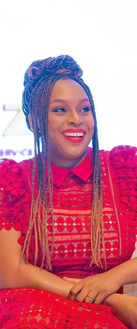 Chimamanda Adichie announces birth of her twins at 47