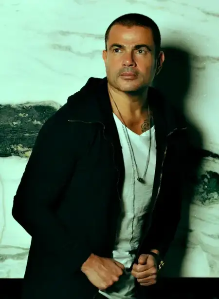 Court issues new verdict in Amr Diab slapping case